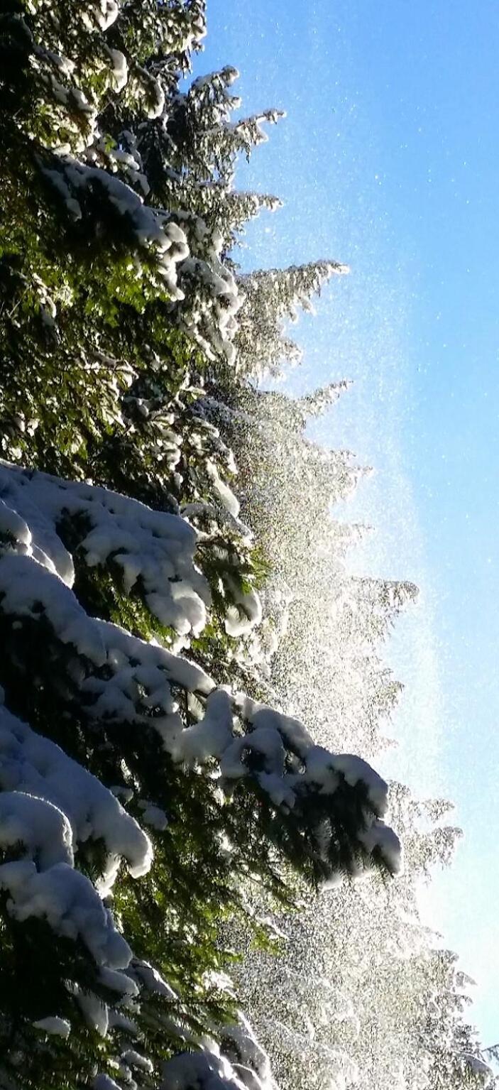Iva Ubytovanie Liptovský Mikuláš Exteriér fotografie
